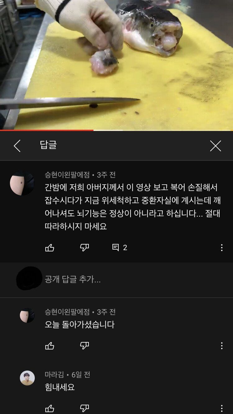 복어 손질 대참사.