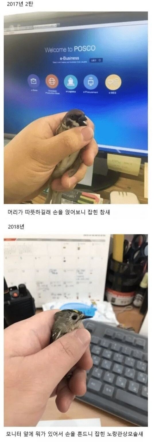 조류 박사가 될만한 자질.