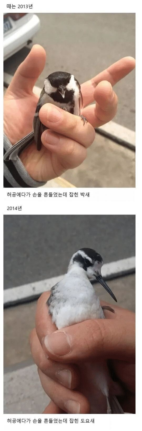 조류 박사가 될만한 자질.