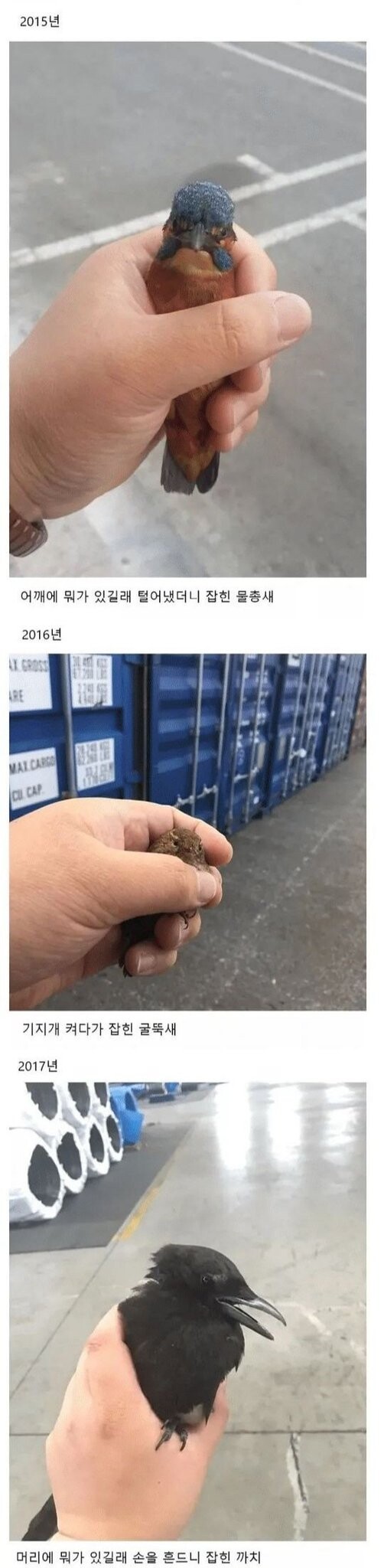 조류 박사가 될만한 자질.