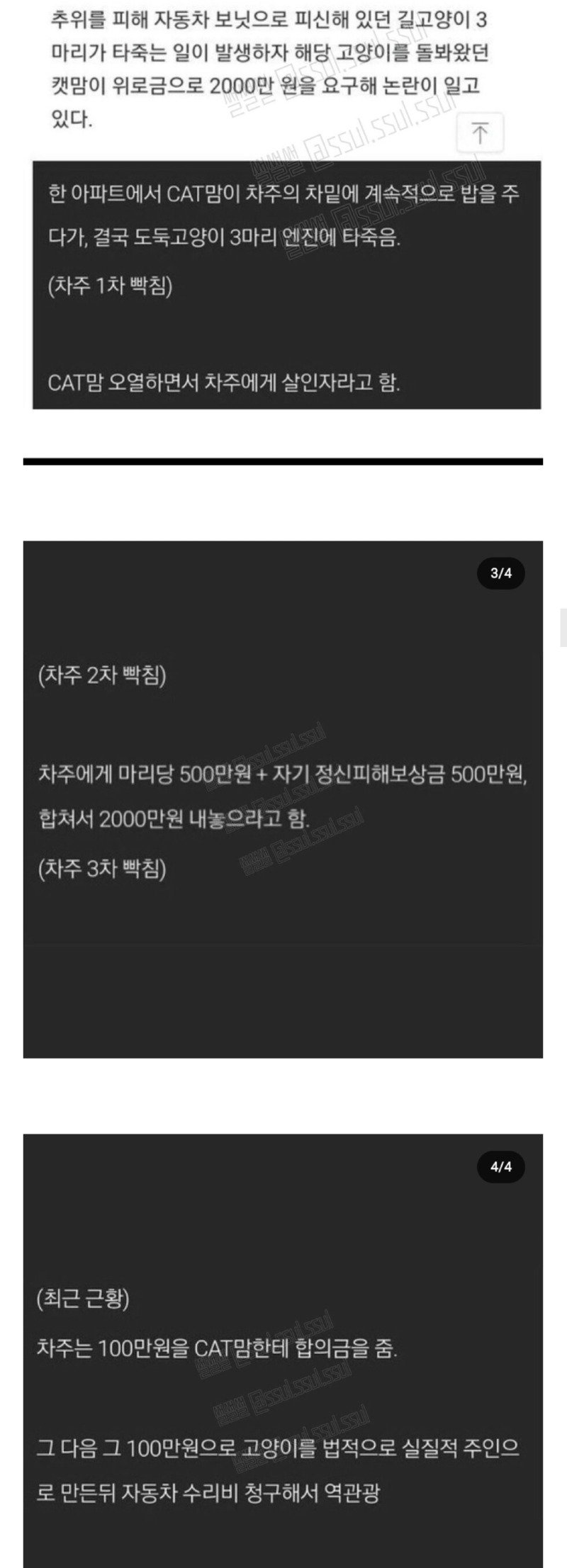 고양이가 죽어서 캣맘한테 합의금을 줌