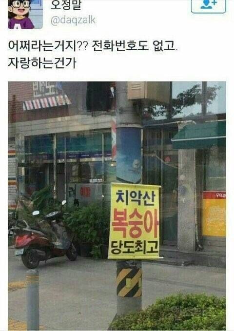 피식 웃음 나오는 웃긴짤 모음