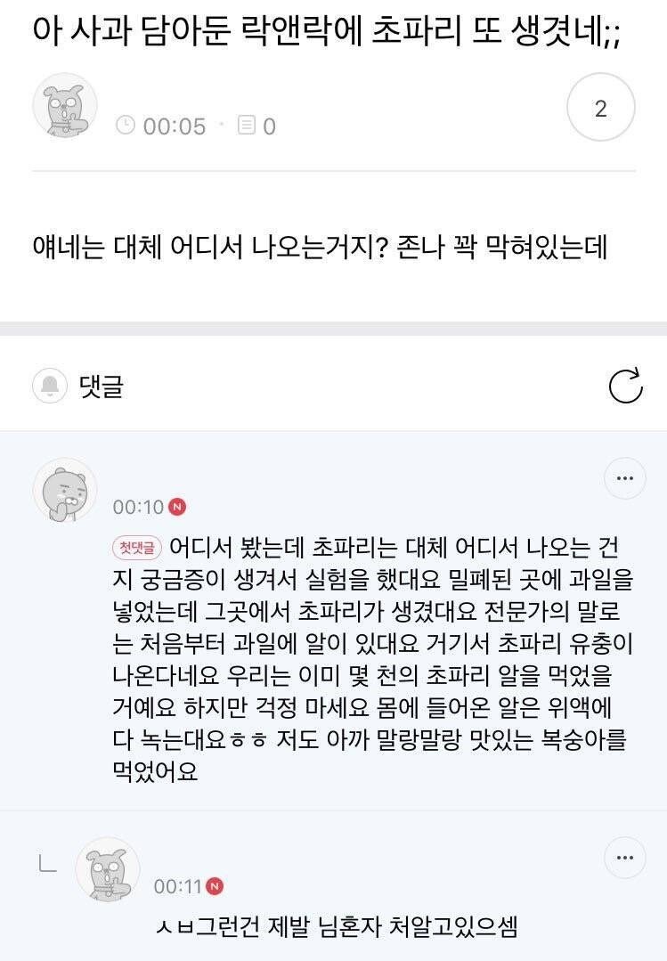 초파리가 생기는 이유