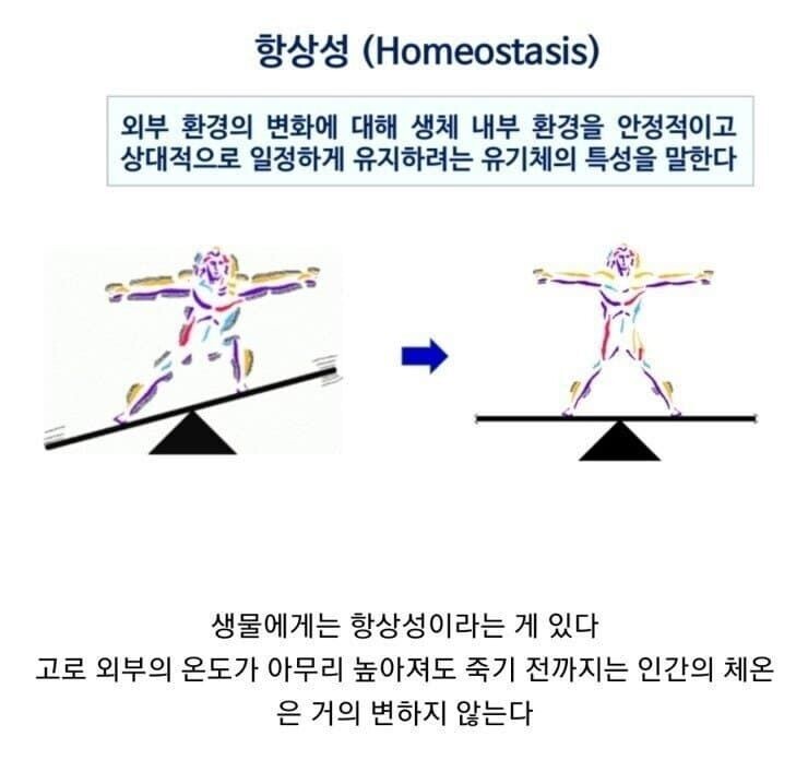 호기심이 많은 과학자들.