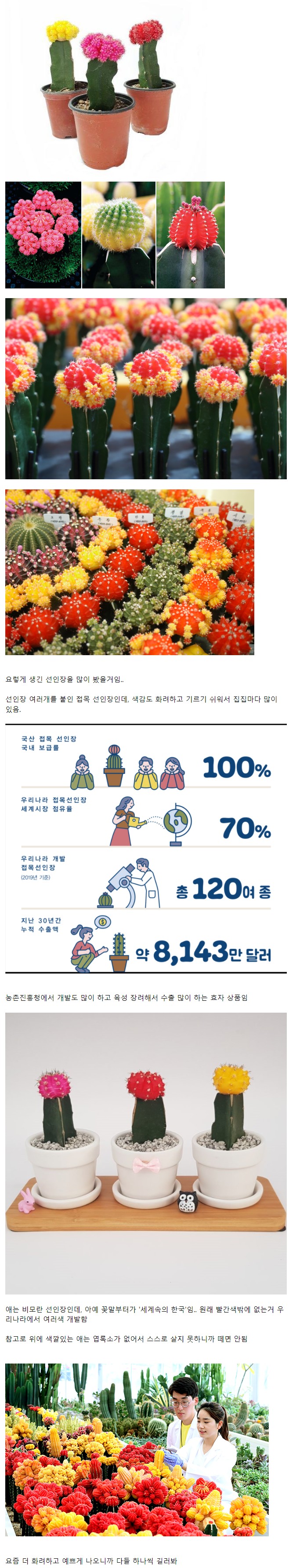 세계 시장 70% 점유하는 한국산 식물