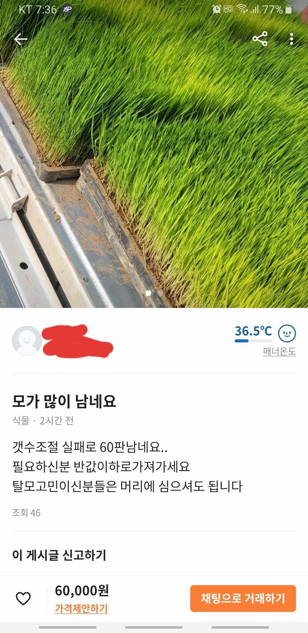 중고로운 평화나라에 이은 당근마켓