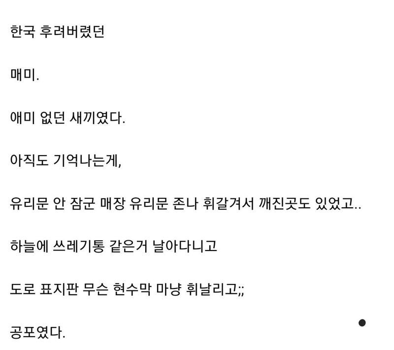 태풍이 얼마나 무섭냐고?