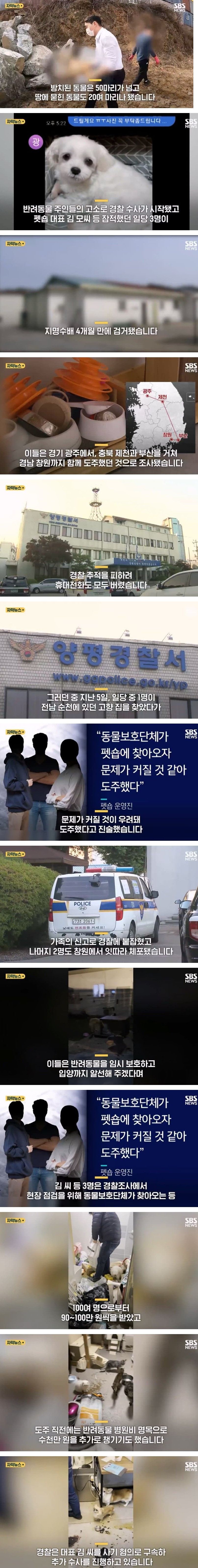 동물 암매장 후 잠적한 펫샵 직원들