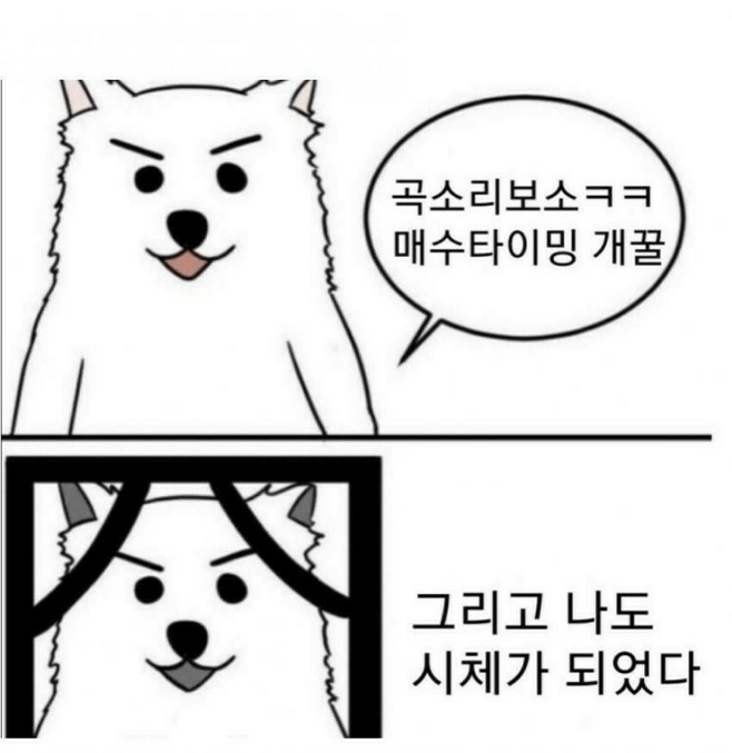 오랜만에 곡소리나는 코인판 근황