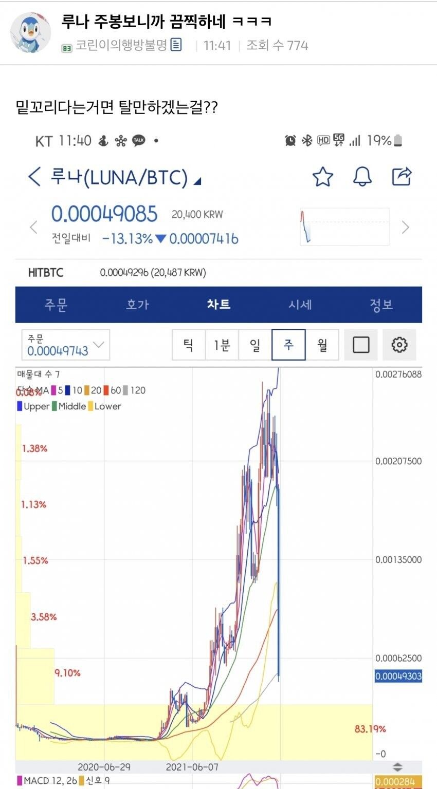 오랜만에 곡소리나는 코인판 근황