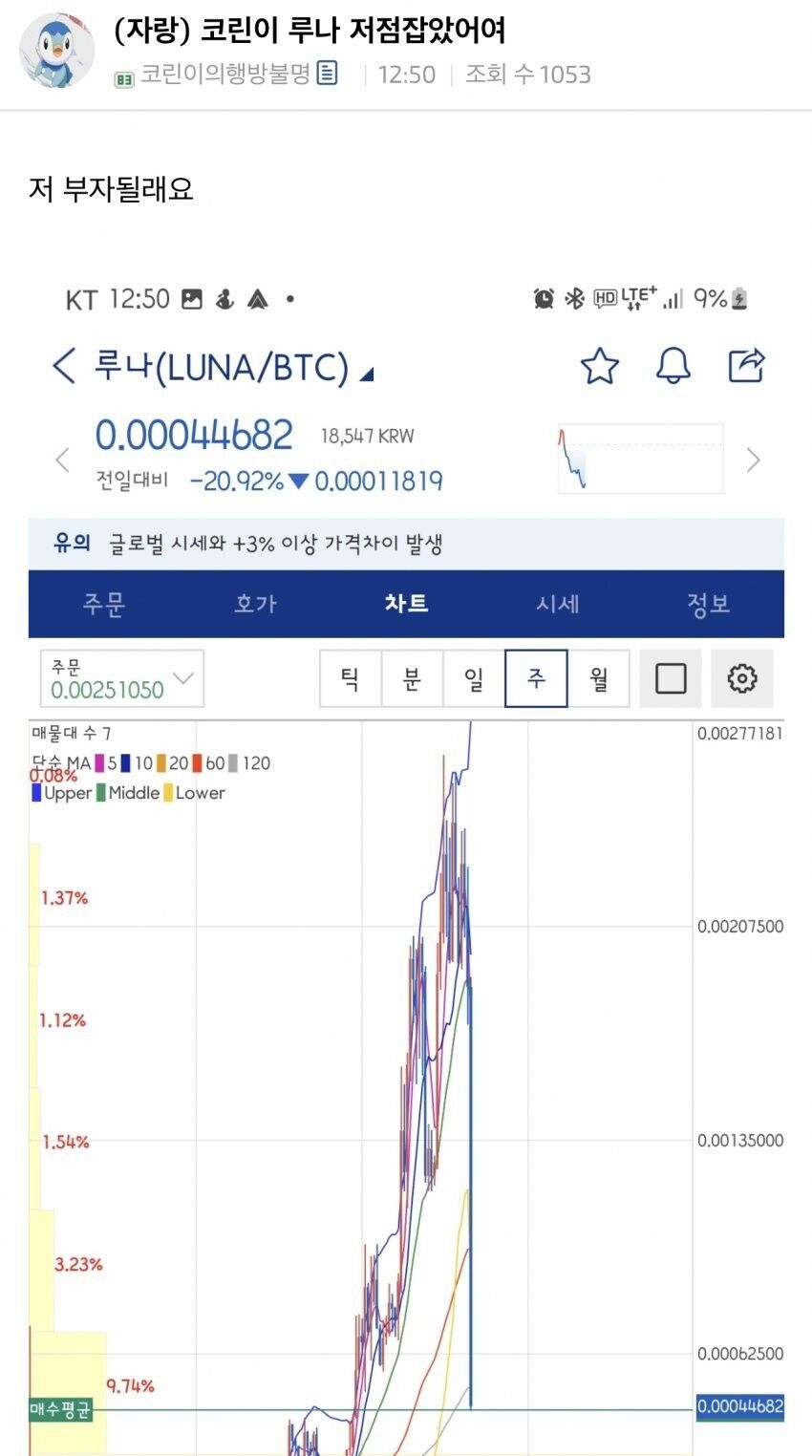 오랜만에 곡소리나는 코인판 근황