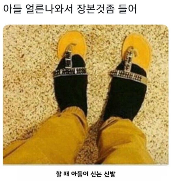 아들 얼른 나와서 장 본 것 좀 들어