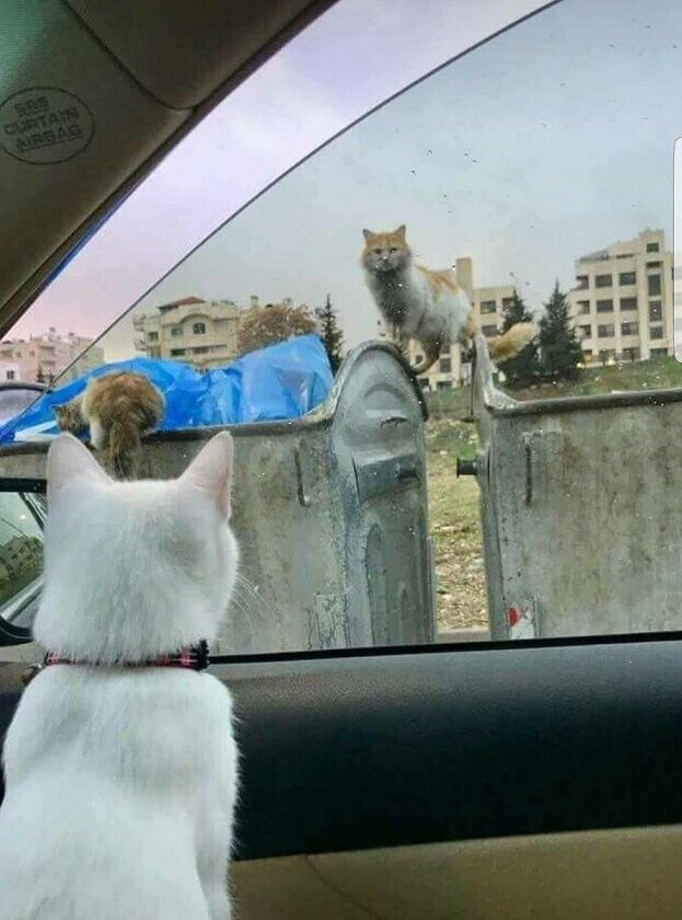 한국의 사진 작품전.