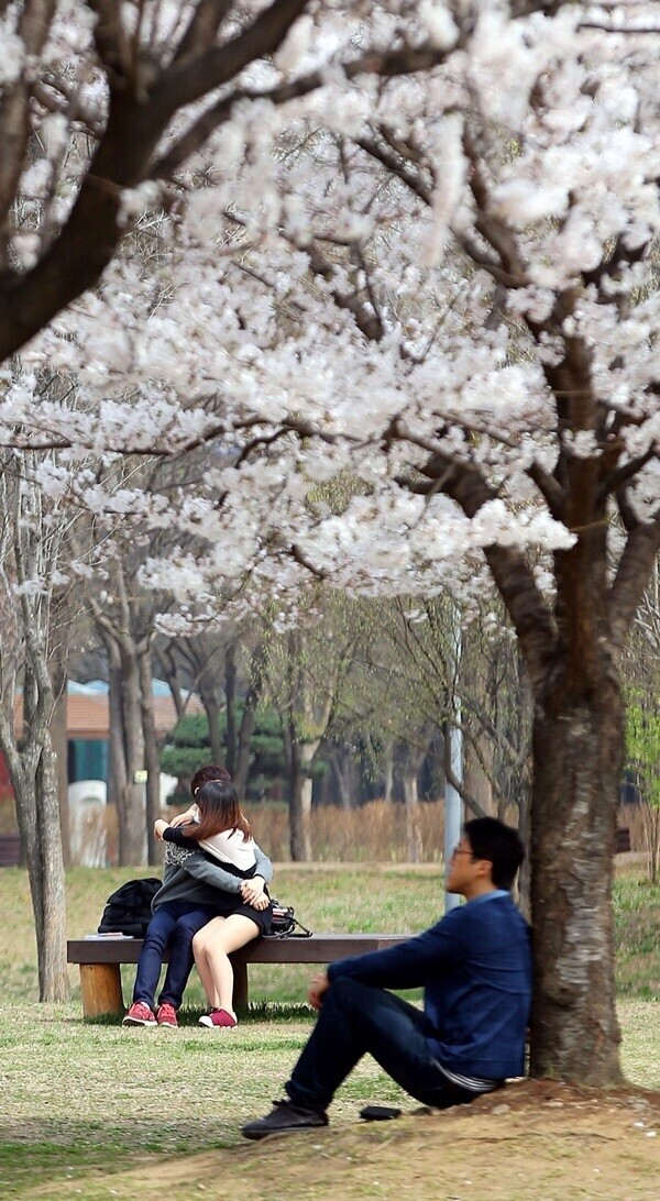 한국의 사진 작품전.