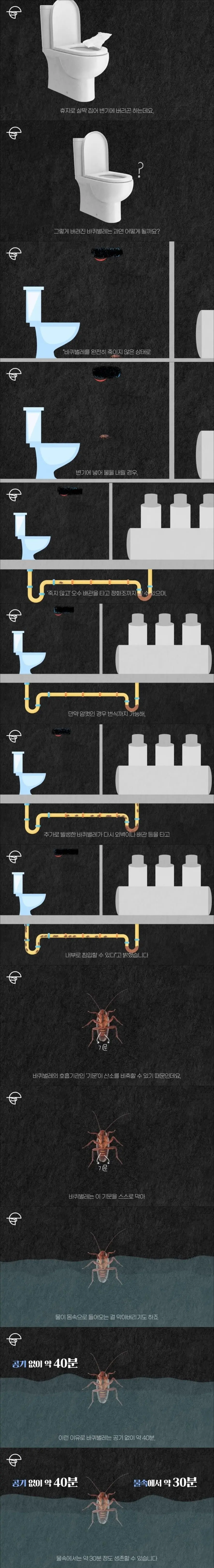 바퀴벌레 안죽이고 변기에 버리면 안되는 이유