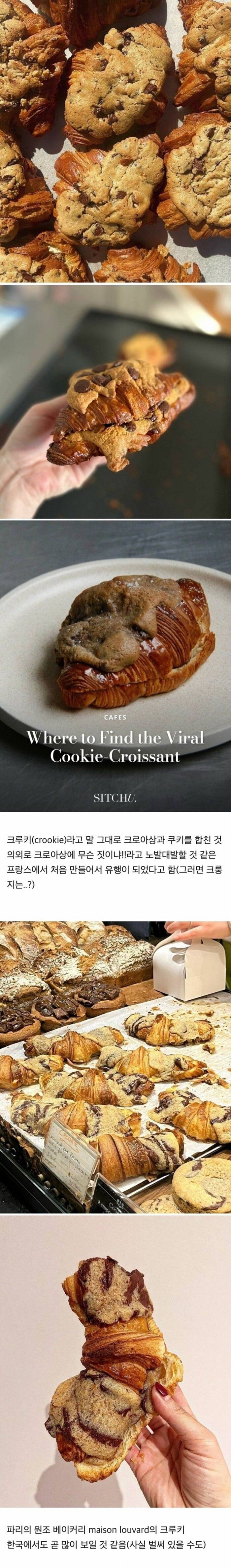 현재 외국 베이커리에서 가장 유행 중이라는 빵