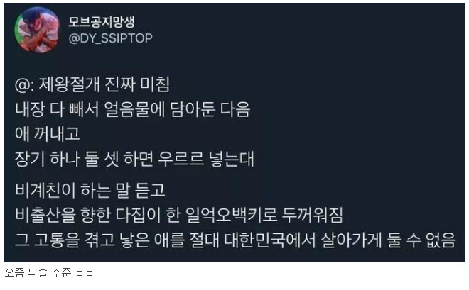 언냐들이 임신을 안 하는 이유