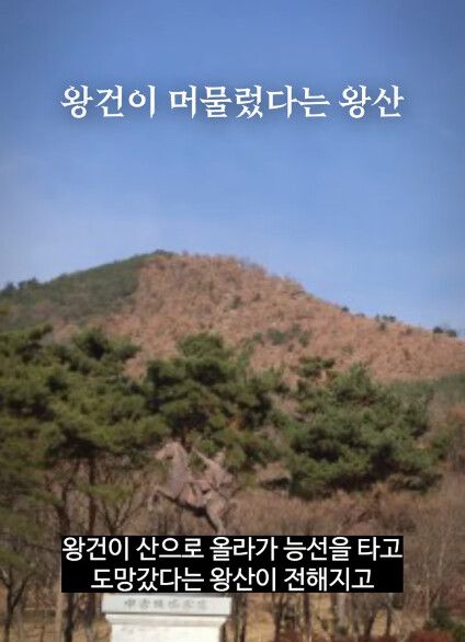 대구 지명의 유래