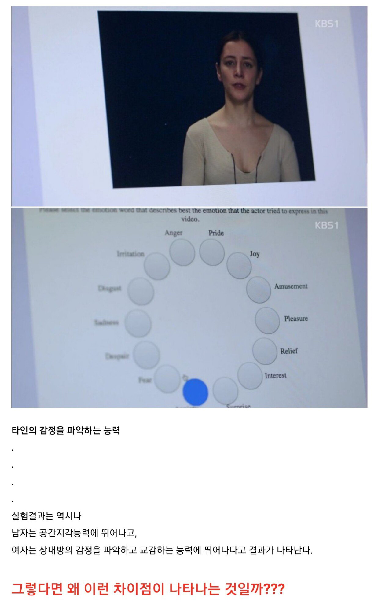 남자와 여자의 뇌구조 차이