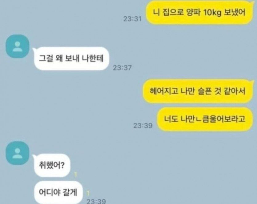 전 남친한테 양파 10kg 보냈어