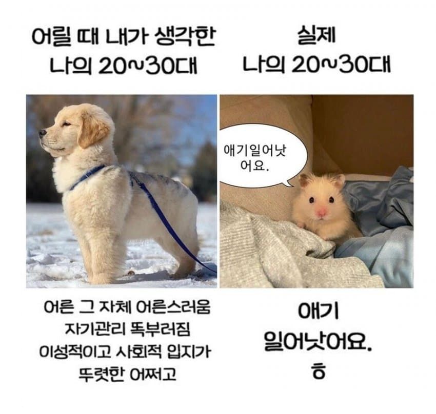 옛날 30대와 지금 30대 차이.