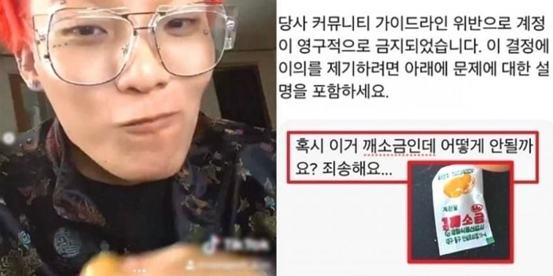 계란 먹다가 틱톡 영구정지