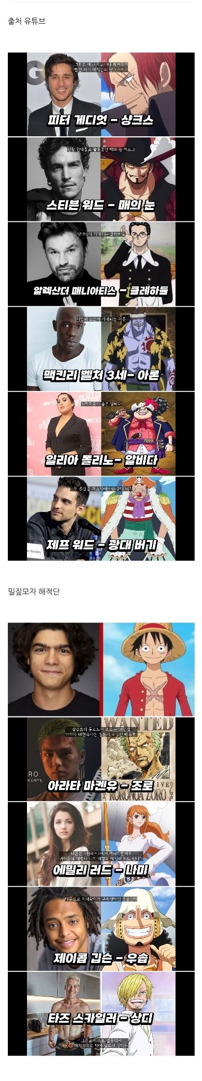 넷플릭스 원피스 실사판 배우 공개