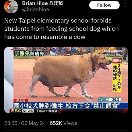 대만의 한 초등학교에서 금지시킨것.