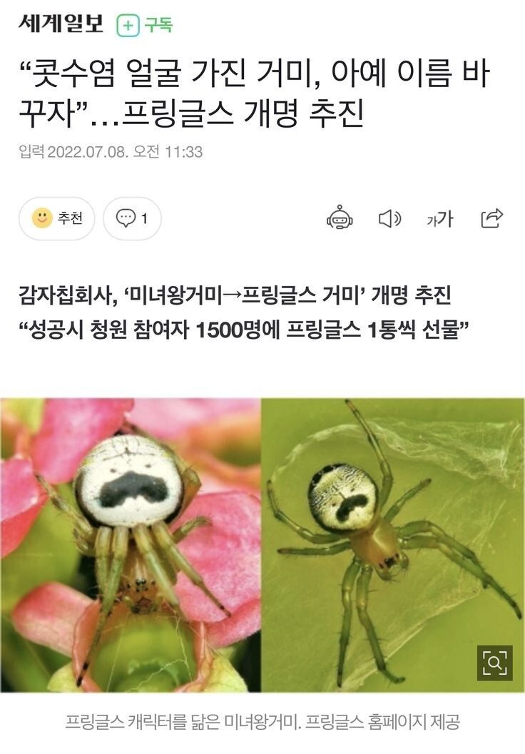 프링글스 거미