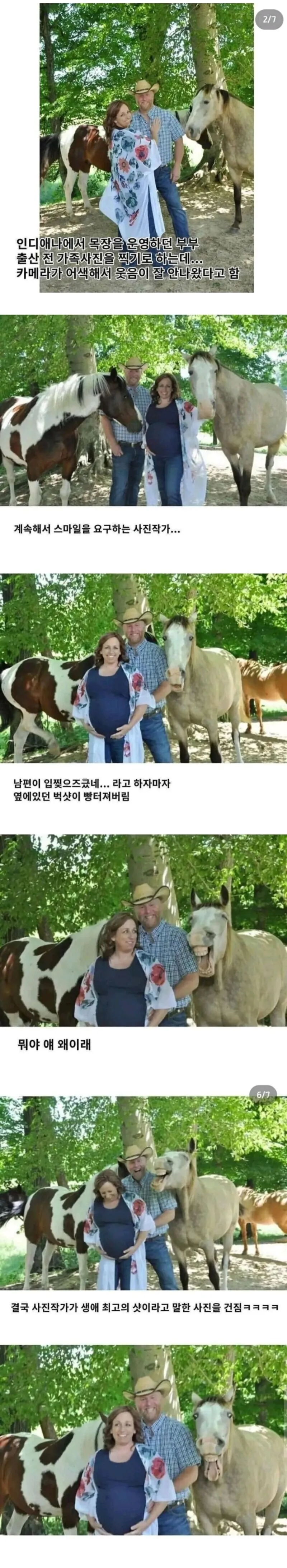 목장에서 가족사진 찍기