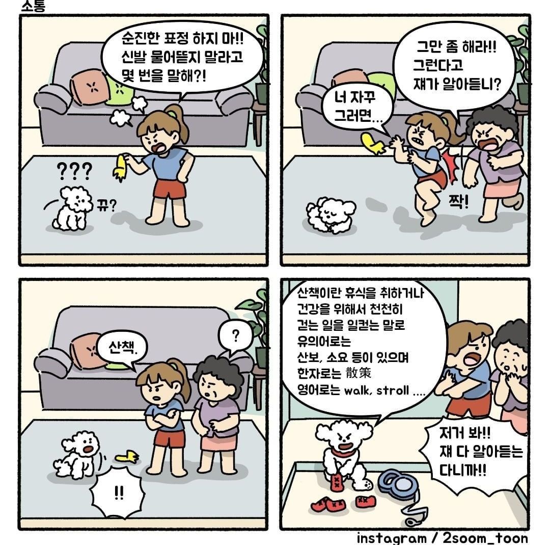 네컷 만화...