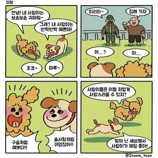 네컷 만화...