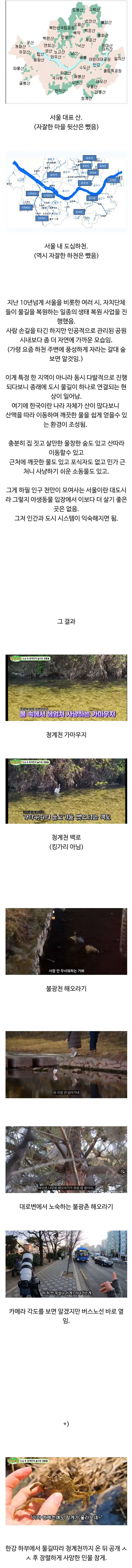 이곳이 바로 친환경 도시