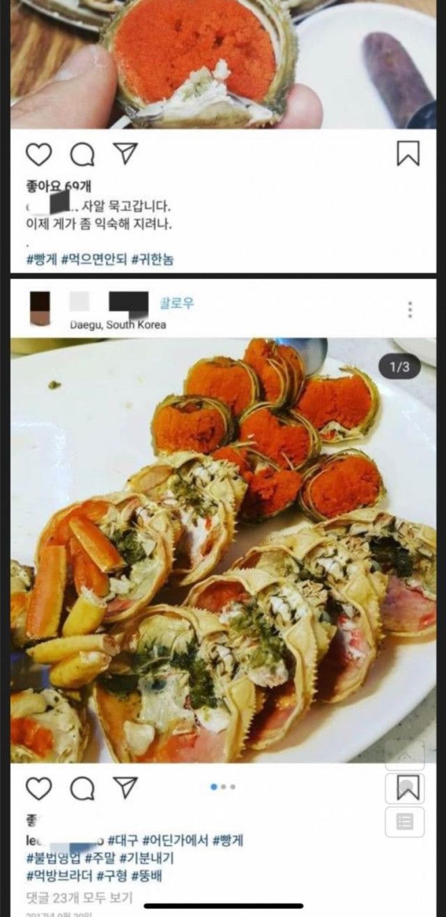 2000만원 짜리 대게 먹방 인증샷