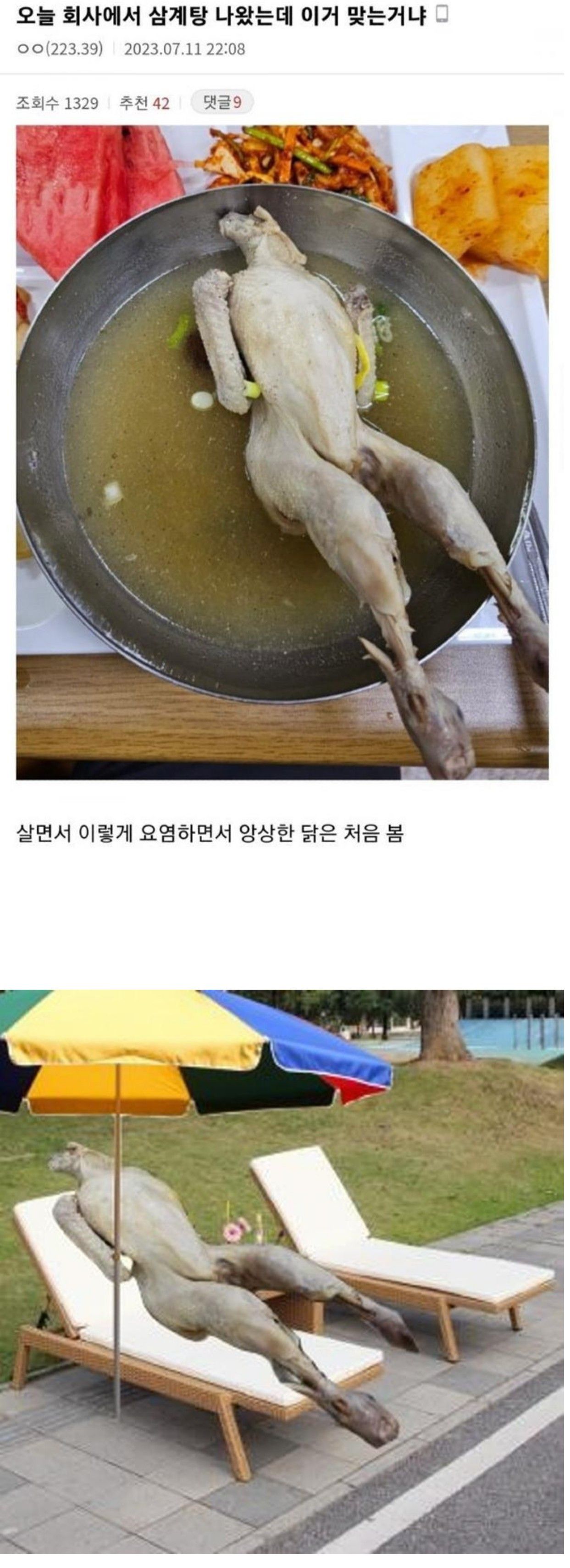 중소기업 복날 근황