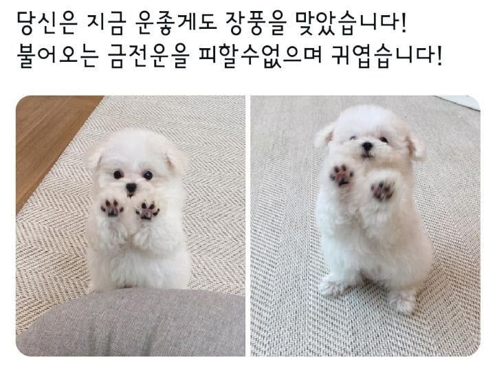 토요일 로또사러가기전 행운장풍