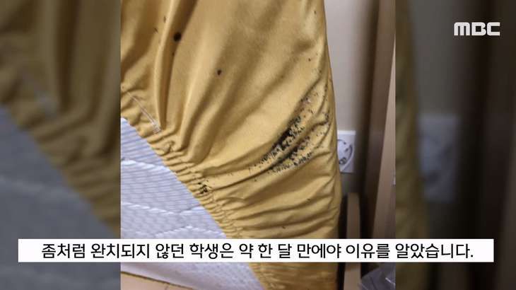 빈대 나왔다고 난리 났던 계명대 기숙사