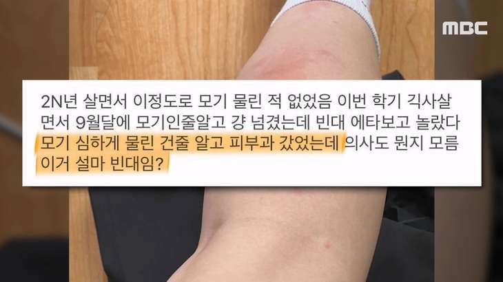 빈대 나왔다고 난리 났던 계명대 기숙사