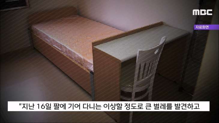 빈대 나왔다고 난리 났던 계명대 기숙사