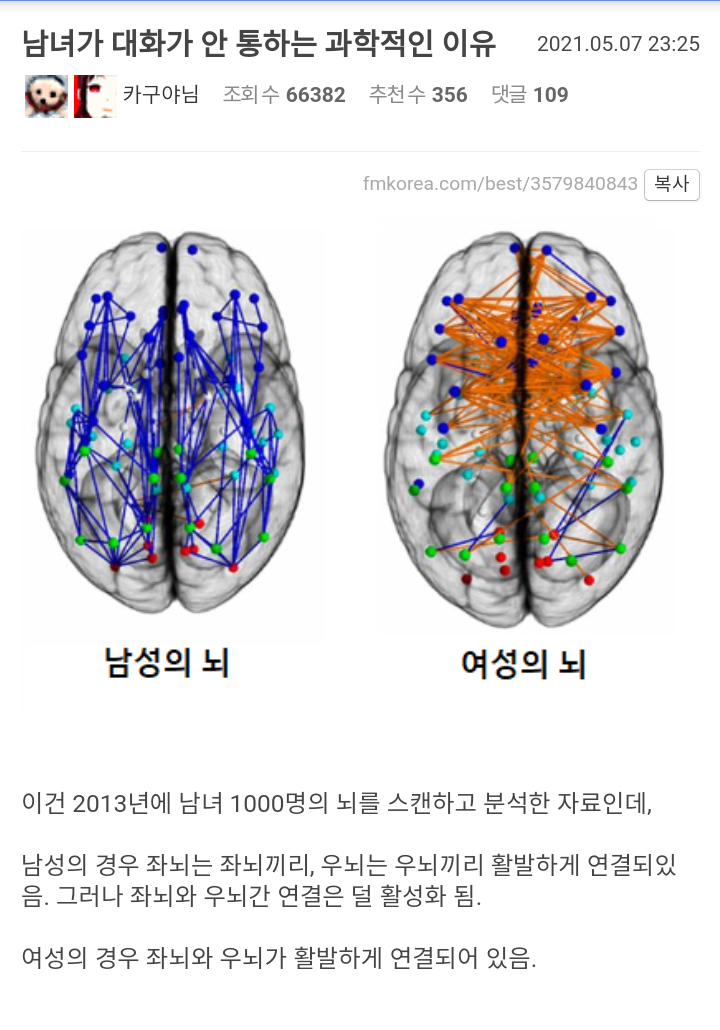 뇌 구조로 본 남,녀의 차이.