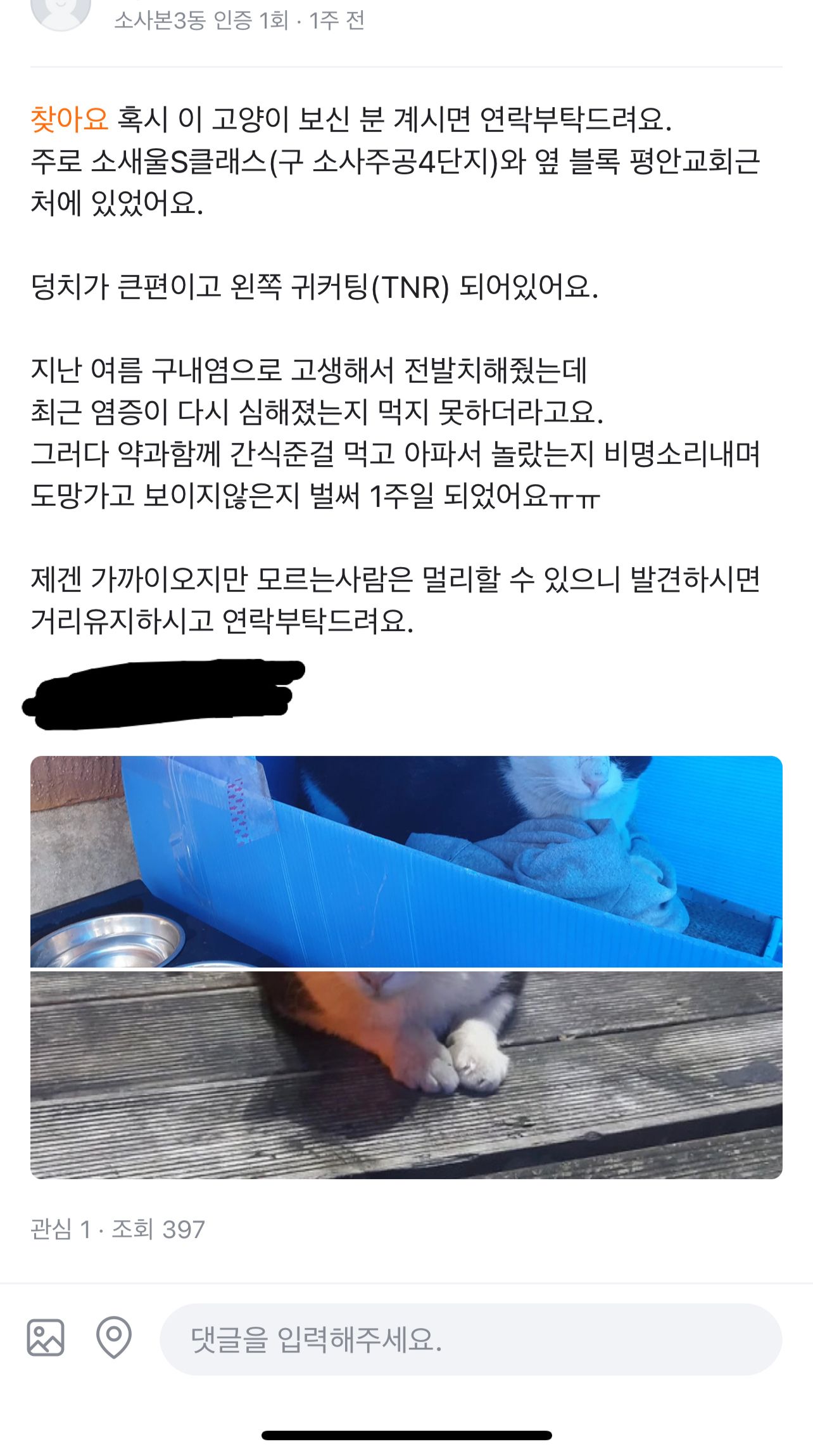 당근마켓 사이코패스 캣맘