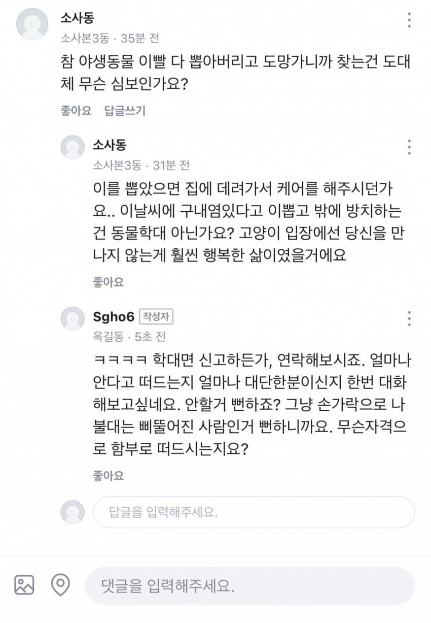 당근마켓 사이코패스 캣맘