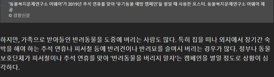 “추석 연휴가 너무 무서워요”···‘가족’이라던 반려동물 버리는 사람들