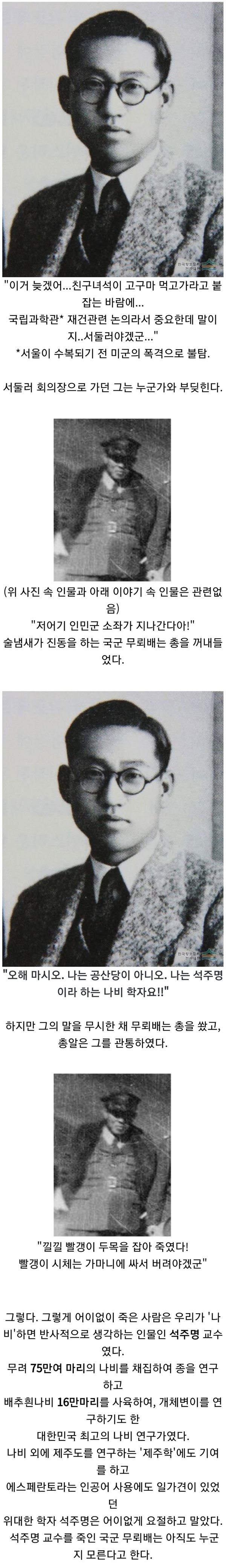 한국 역사상 가장 황당하게 죽은 과학자