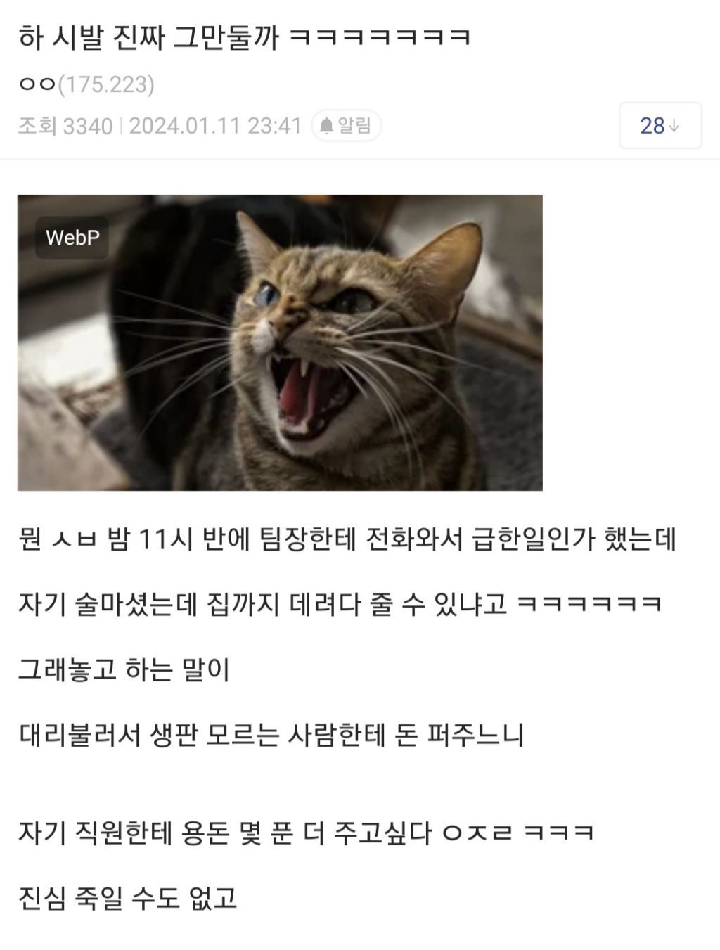 한밤중에 팀장 전화 받고 고민중인 중소갤러