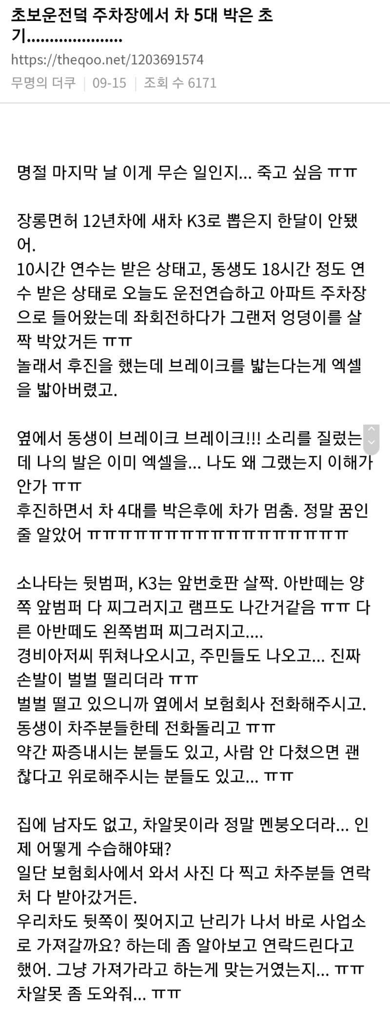 주차장에서 차 5대 박은 분