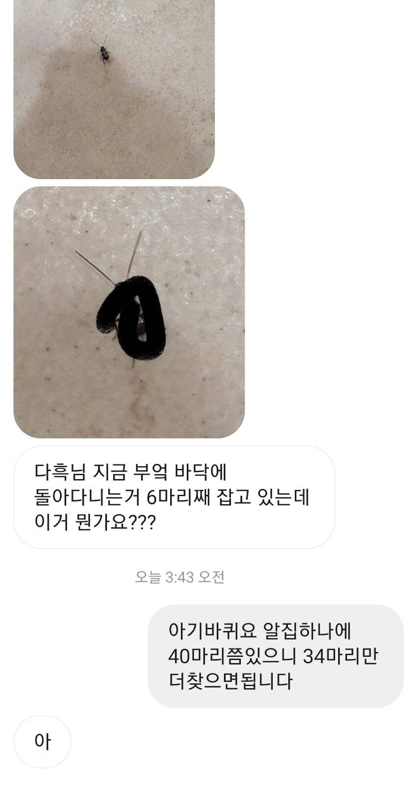 곤충 전문가님 이거 뭐에요?