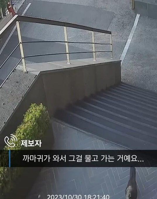 배송 완료 문자는 왔는데 택배가 사라짐