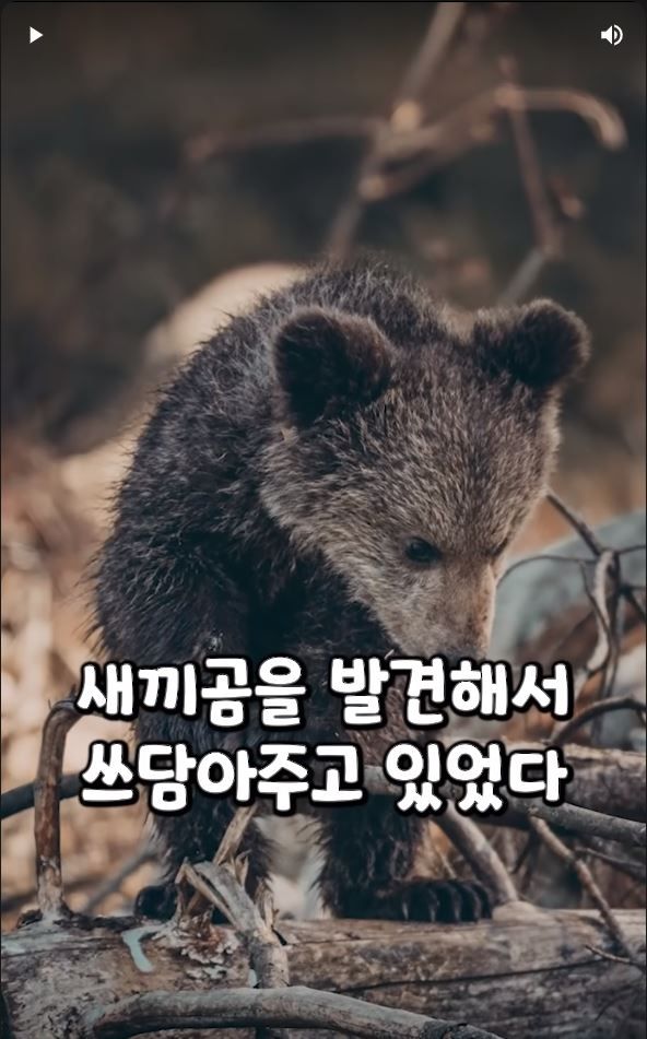 흑곰과 싸워서 이긴 60대 전직복서