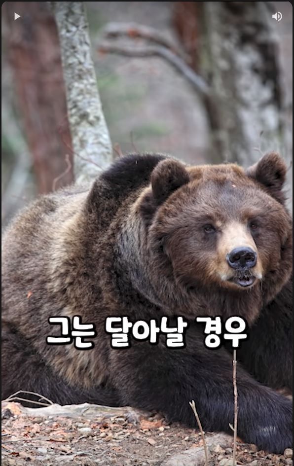 흑곰과 싸워서 이긴 60대 전직복서